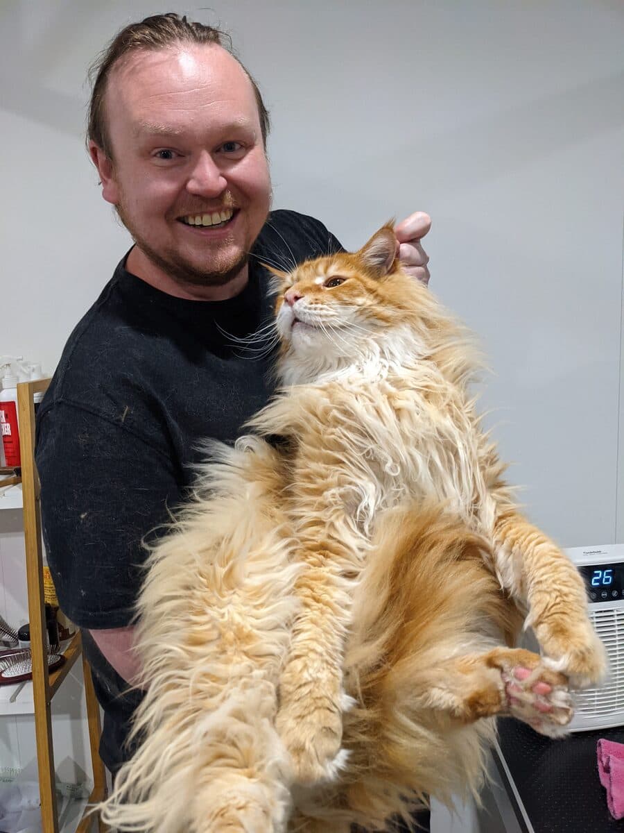 Paul, the groomer, smiling while holding a very large fluffy ginger cat