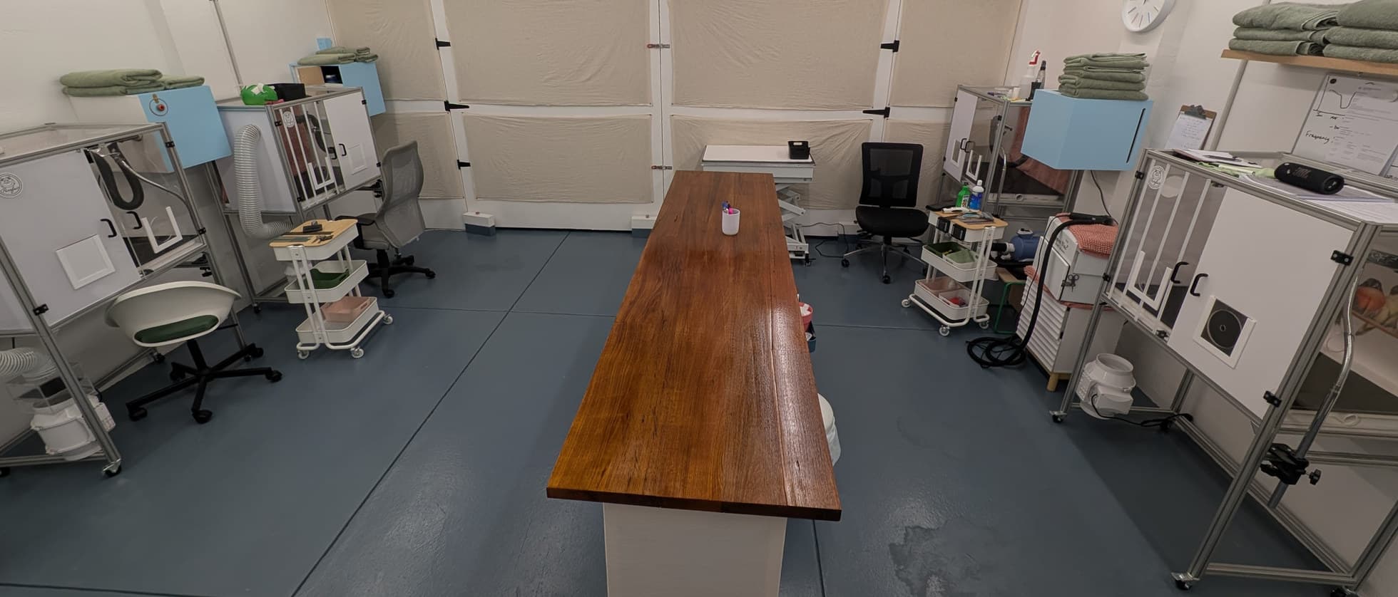 Image of Purrf Cat Grooming Salon in Stirling